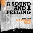 To celebrate the release of My Heart Beats: Remixes and Versions today, NATURAL SELF has hooked up a new mix over at Potholes in my Blog. Download by clicky! BUY...