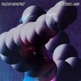Review: RALEIGH MONCRIEF // Watered Lawn {Anticon} http://raleighmoncrief.net/ http://www.anticon.com/ Altered Zones September 2011 Mix